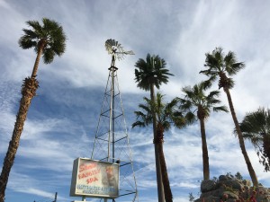 The beautiful fake palm tree towering over this RV parks is actually a Verizon tower.