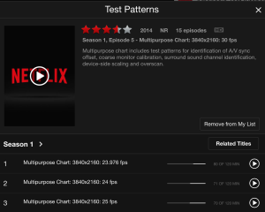 Search for "Test Patterns" on Netflix, and you can watch special streams that will show you your resolution and data rate.